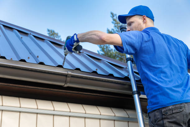 Best Roof Maintenance and Cleaning  in Freemansburg, PA